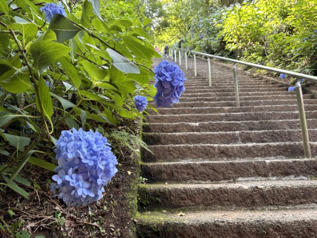 山門からのかなり急な階段の画像