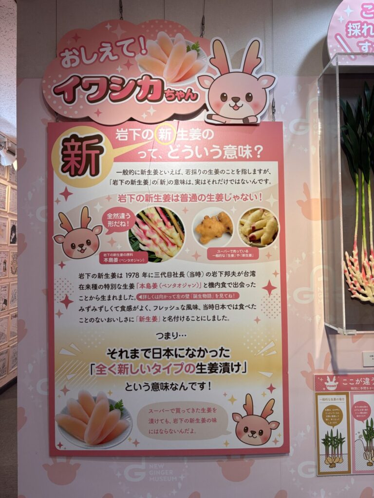 岩下の新生姜の「新」の意味を解説する館内の展示パネル