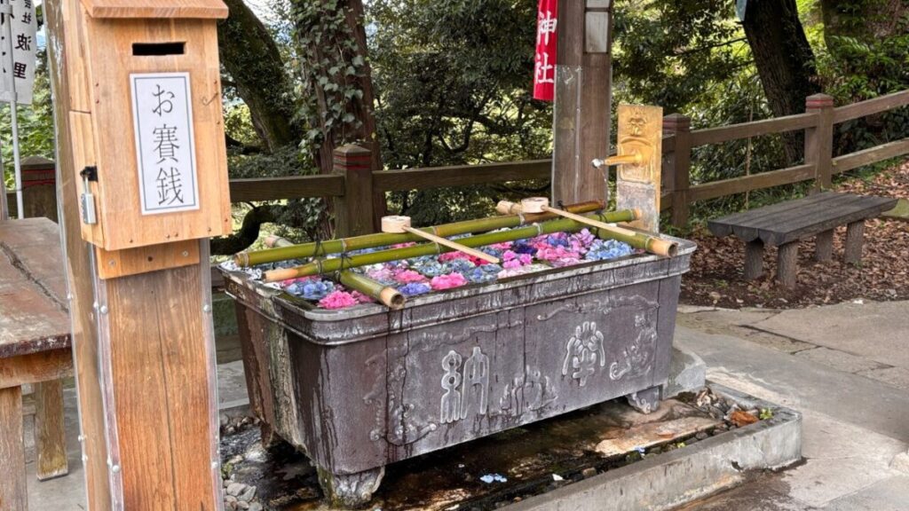 唐沢山神社の手水に浮かべられた色とりどりのあじさい