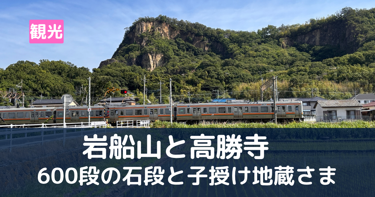 田んぼの中から岩船山と両毛線の電車が見える景色