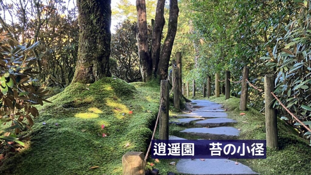 日光山輪王寺の庭園「逍遥園」の苔むした石畳の小径と木立