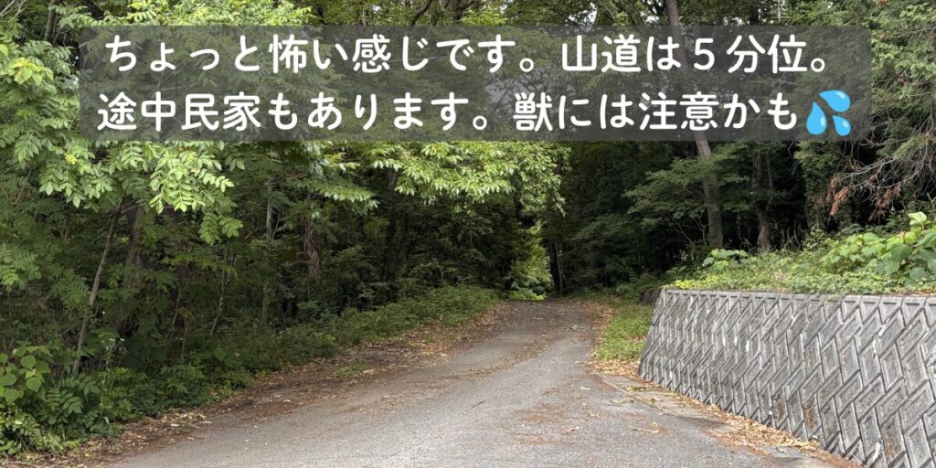スタジアムまでの道案内⑩ 木々に囲まれた山道を進む