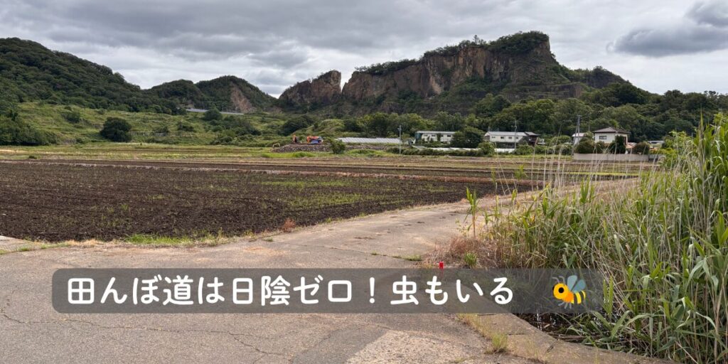 岩舟駅からスタジアムへ向かう日陰のない田んぼ道と岩船山の絶景。