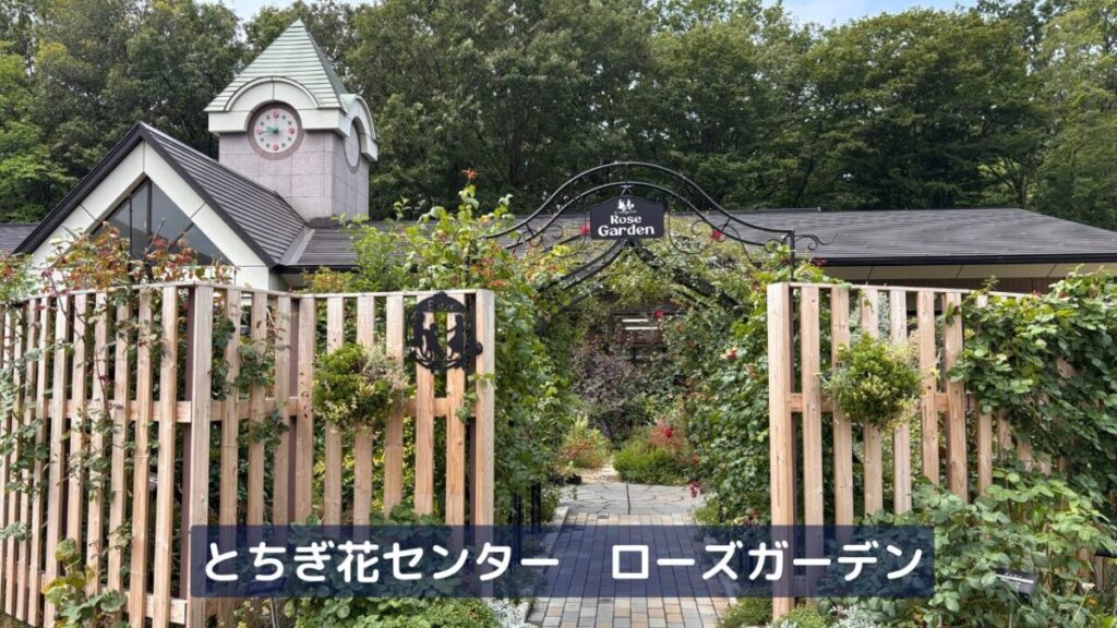 とちぎ花センターのバラ園に咲き誇るバラの画像