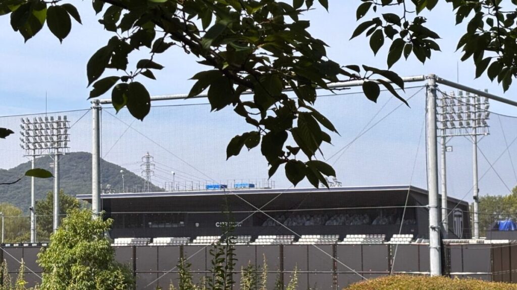 木々の緑ごしに見える、スタジアムのスタンド席。