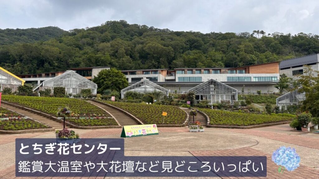 とちぎ花センター大花壇・温室の画像