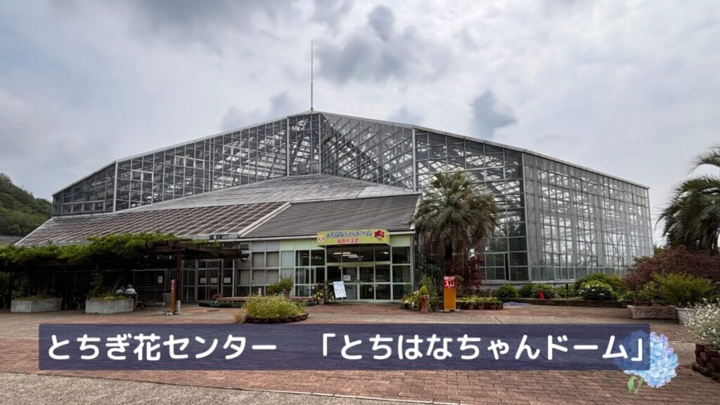 とちぎ花センター温室とちはなちゃんドームの外観画像