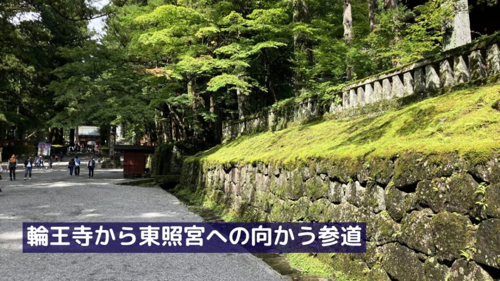 杉木立に囲まれた、日光東照宮へと続く石畳の参道