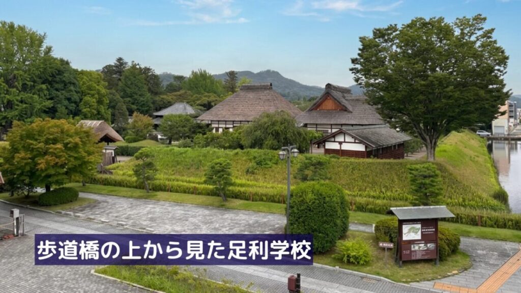 歩道橋から見た足利学校の全景と茅葺屋根