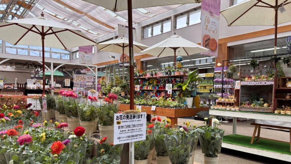 あしかがフラワーパーク売店に並ぶ季節の花苗と足利のお土産